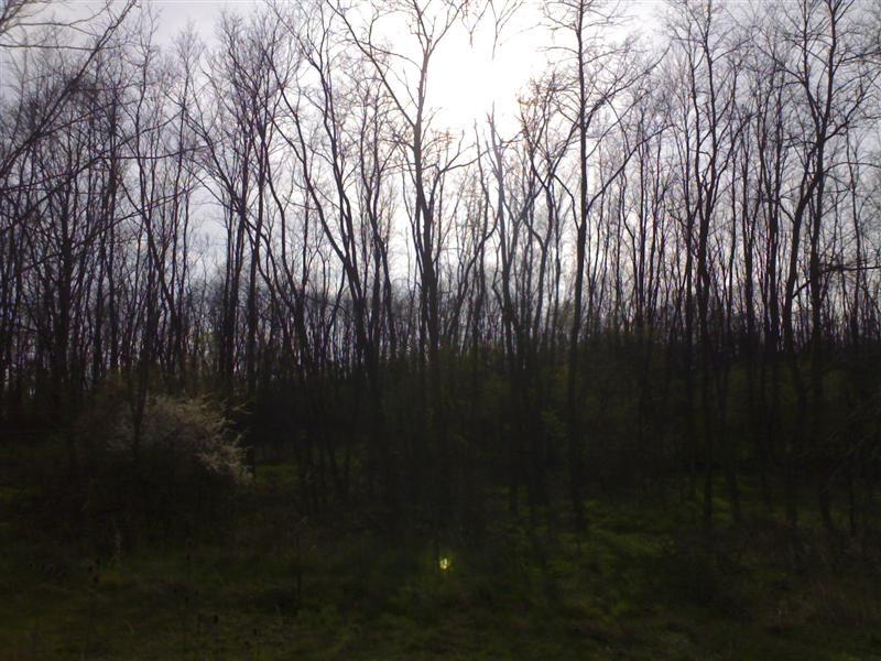 200704091765 .jpg